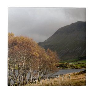 VIEWS OF WALES CERAMIC TILE