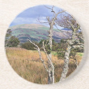 VIEWS OF WALES COASTER