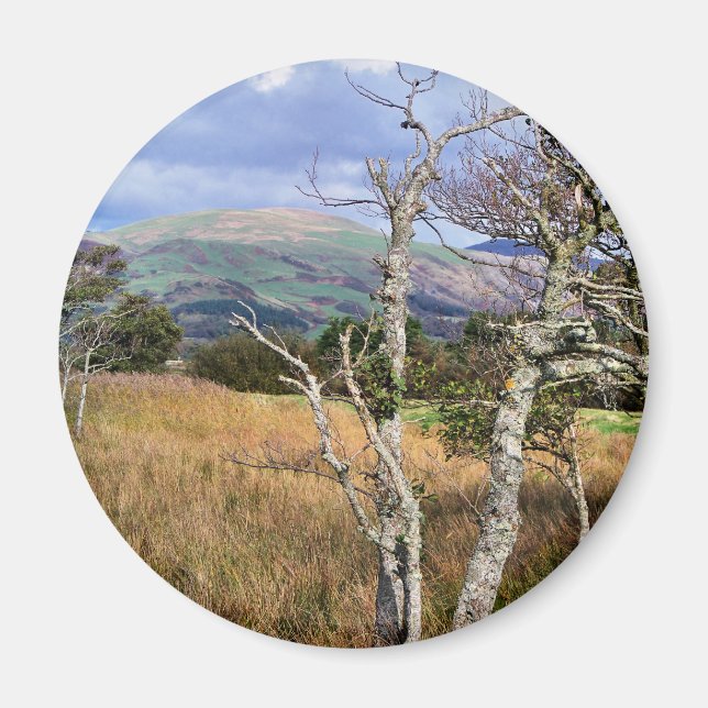 VIEWS OF WALES MAGNET (Front)