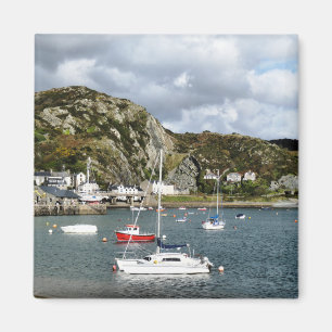 VIEWS OF WALES MAGNET