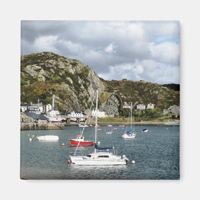 VIEWS OF WALES MAGNET (Front)