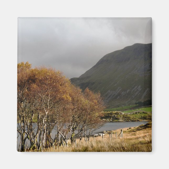 VIEWS OF WALES MAGNET (Front)