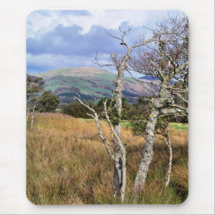 VIEWS OF WALES MOUSE PAD