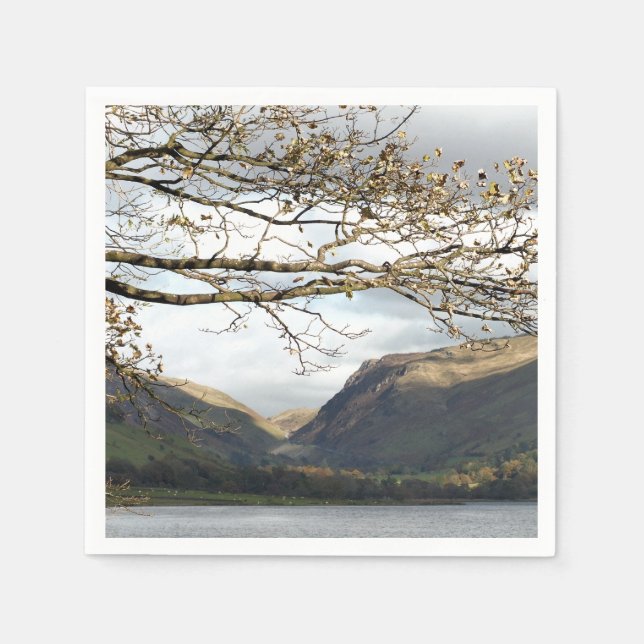 VIEWS OF WALES NAPKIN (Front)