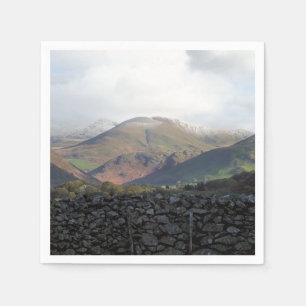 VIEWS OF WALES NAPKIN