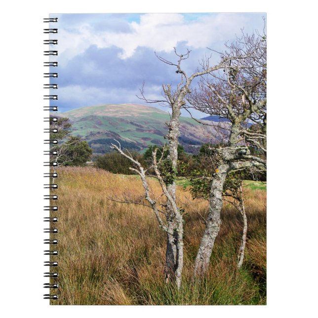 VIEWS OF WALES NOTEBOOK (Front)