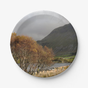 VIEWS OF WALES PAPER PLATE