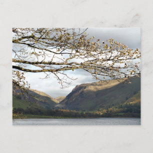 VIEWS OF WALES POSTCARD