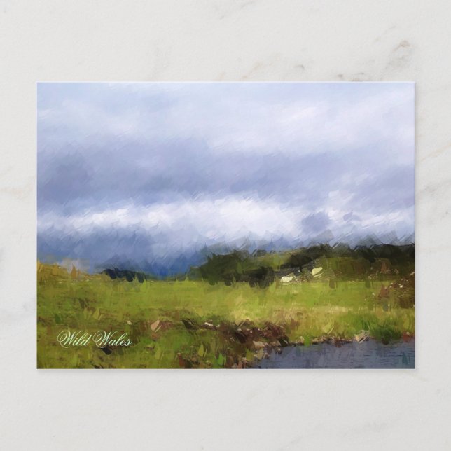 VIEWS OF WALES POSTCARD (Front)