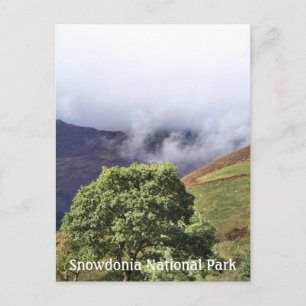 VIEWS OF WALES POSTCARD