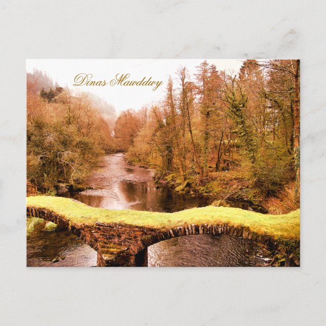 VIEWS OF WALES POSTCARD (Front)