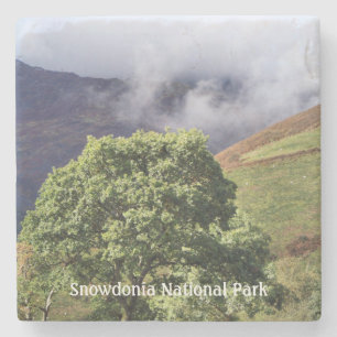 VIEWS OF WALES STONE COASTER