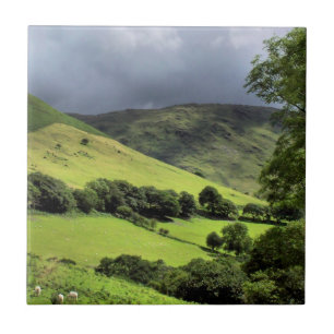 VIEWS OF WALES UK TILE