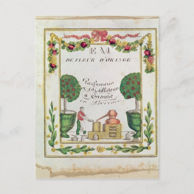 Vignette of 'Eau de Fleur d'Orange' Postcard (Front)