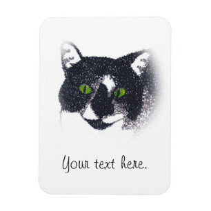 Vignette of Tuxedo Cat Face Photo Magnet