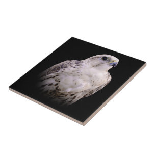 Vignetted Portrait of an Inquisitive Saker Falcon Ceramic Tile