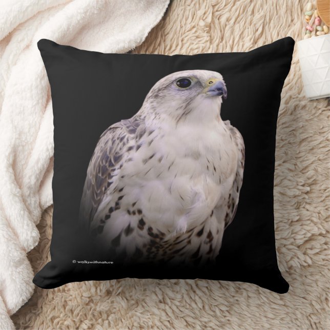 Vignetted Portrait of an Inquisitive Saker Falcon Cushion (Blanket)