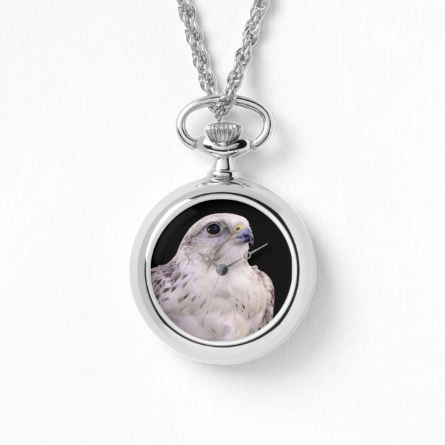 Vignetted Portrait of an Inquisitive Saker Falcon Watch (Front)
