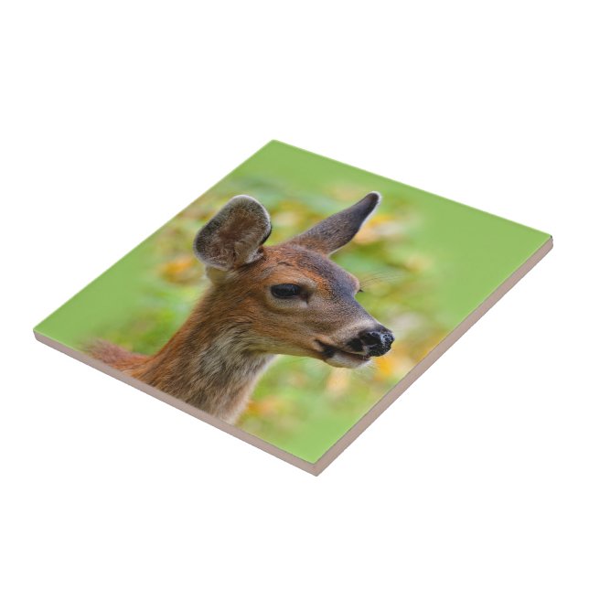 Vignetted Portrait of Smiling Blacktail Deer Fawn  Ceramic Tile (Side)