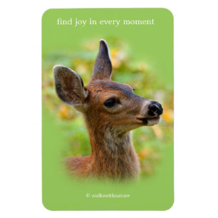 Vignetted Portrait of Smiling Blacktail Deer Fawn Magnet