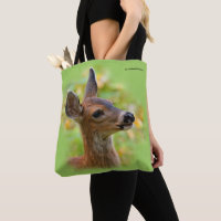 Vignetted Portrait of Smiling Blacktail Deer Fawn 