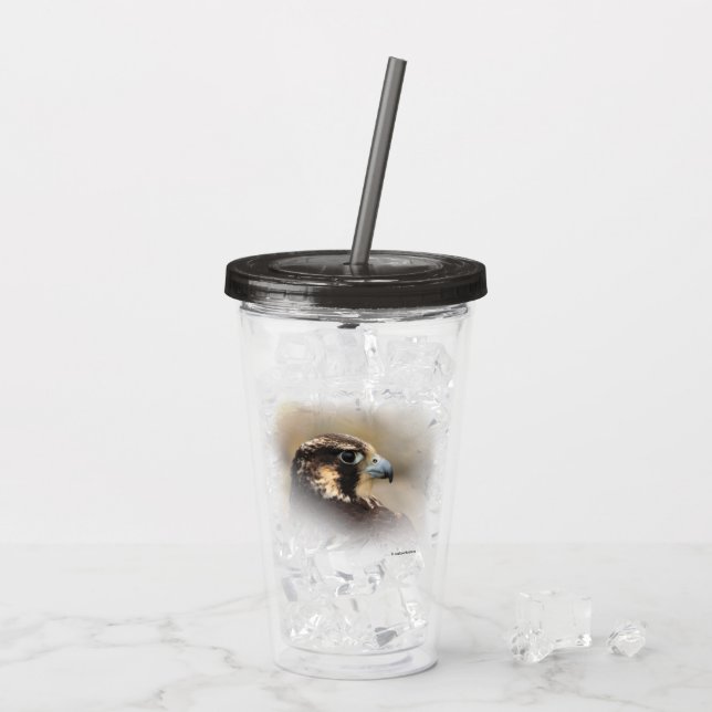 Vignetted Profile of a Peregrine Falcon Acrylic Tumbler (Back Ice)