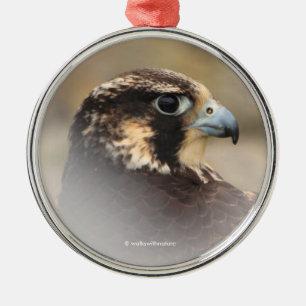Vignetted Profile of a Peregrine Falcon Metal Tree Decoration