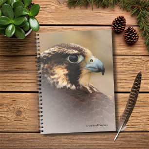 Vignetted Profile of a Peregrine Falcon Notebook