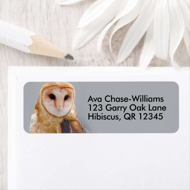 Vignetted Serene Barn Owl Return Address Label (Insitu)