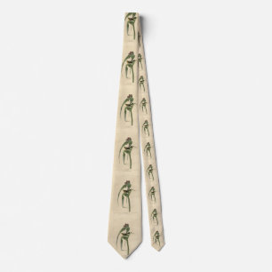 Vigors Vireo (Pine Warbler) Audubon Birds America Tie
