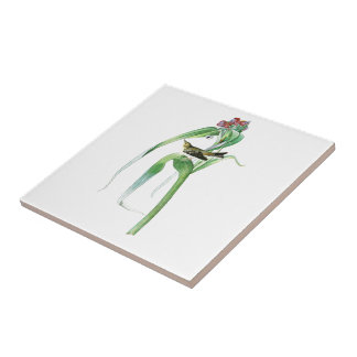 Vigour's Warbler John James Audubon Birds America Tile