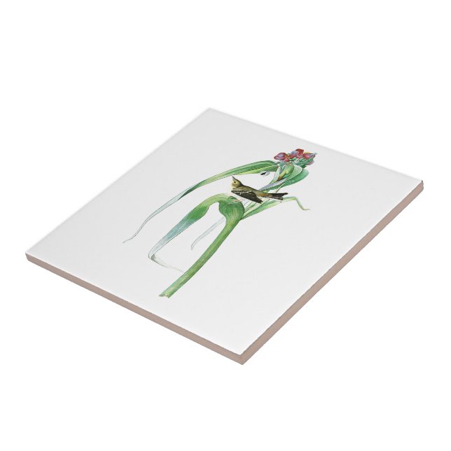 Vigour's Warbler John James Audubon Birds America Tile (Side)