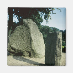 Viking rune stones magnet