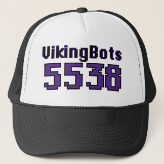 VikingBot- DRAFT 5538 hat