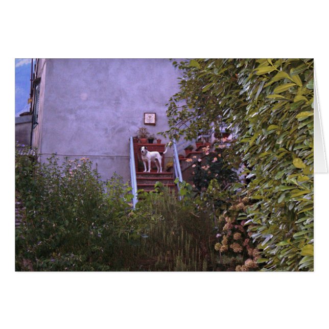 Villa Aurora (Front Horizontal)