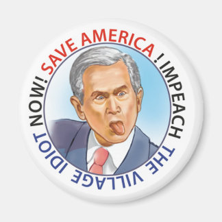 village idiot magnet