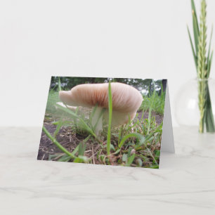"Village Mushroom #2" Easter Card