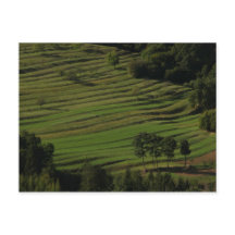 Village of Prem, Brkini Hills, Slovenia