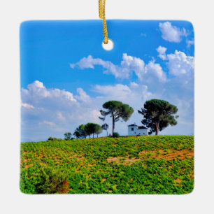 Viña de Los Pinos Ceramic Ornament