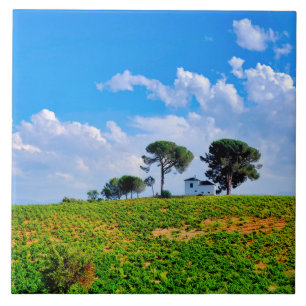 Viña de Los Pinos Ceramic Tile