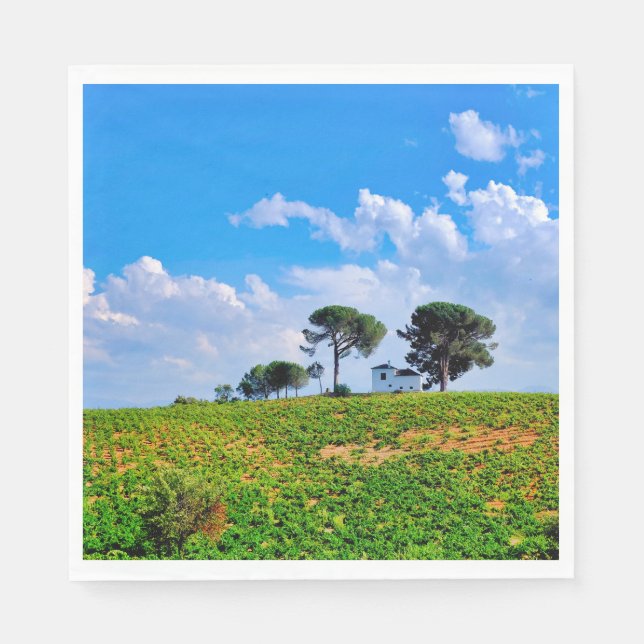 Viña de Los Pinos Napkin (Front)