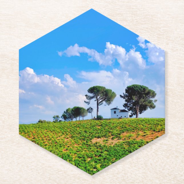Viña de Los Pinos Paper Coaster (Front)