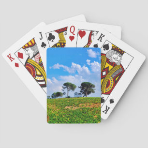 Viña de Los Pinos Playing Cards
