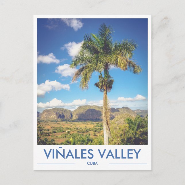 Viñales Valley Cuba Palm Tree Photo Postcard (Front)