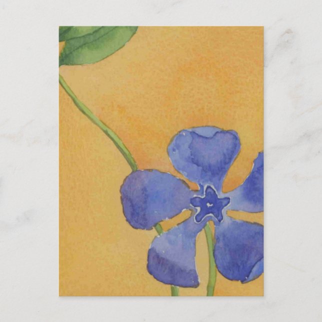 Vinca Floral Postcard (Front)