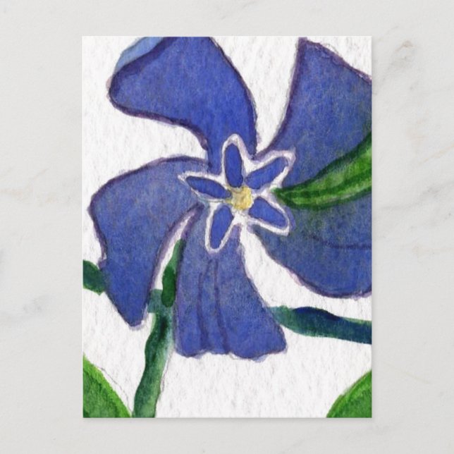 "Vinca Vine" Floral Postcard (Front)