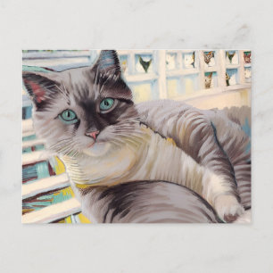 Vincent Cat Gogh Postcard