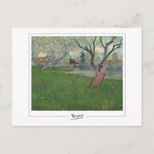 Vincent Van Gogh #24 - Fine Art Postcard