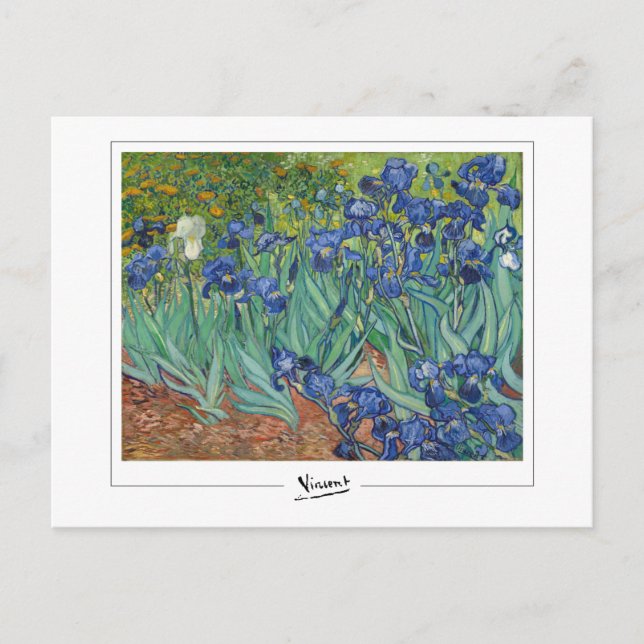 Vincent Van Gogh #45-3 - Fine Art Postcard (Front)