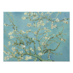 Vincent van Gogh - Almond Blossom Photo Print